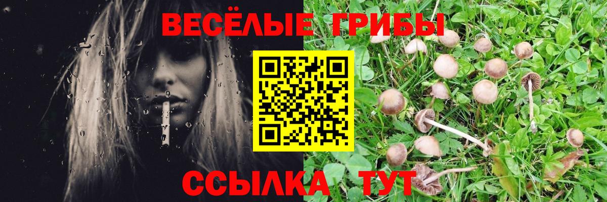 Гусев  Галлюциногенные грибы Magic Shrooms  Вход с VPN  Галлюциногенные грибы прущие грибы 