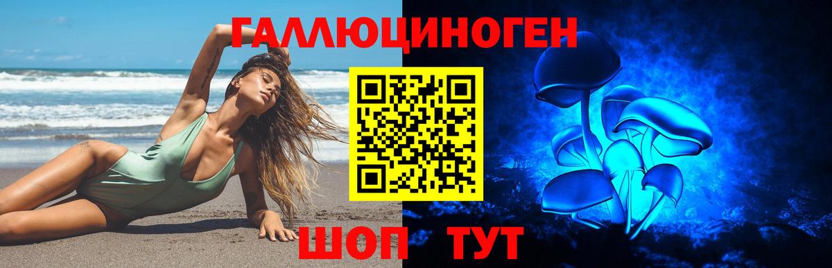 Псилоцибиновые грибы Psilocybe Гусев